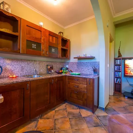 Cigno Villa Minusio