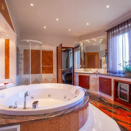 Cigno Villa Minusio